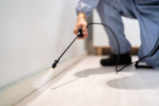 Licensed Cockroach Control service in Carlinville, IL - Nex Pest Control