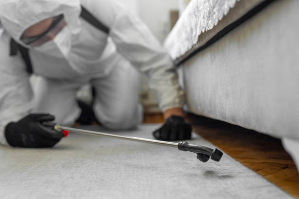 Professional Cockroach Control technician working in Carlinville, IL