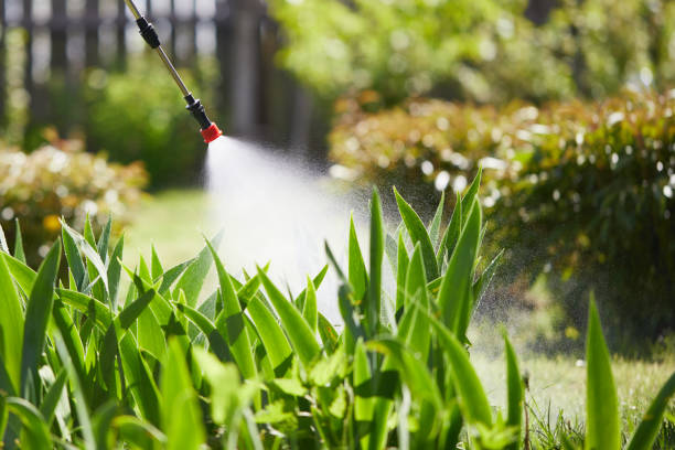 24/7 Emergency Cockroach Control experts in Carlinville, IL