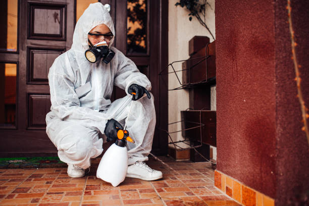 Reliable Cockroach Control contractor in Carlinville, IL by Nex Pest Control